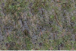 Photo of Various Textures